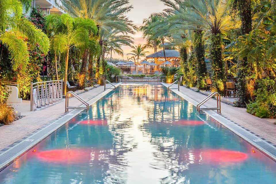Illuminated lap pool lined with palm trees at dusk, reflecting lights on water surface