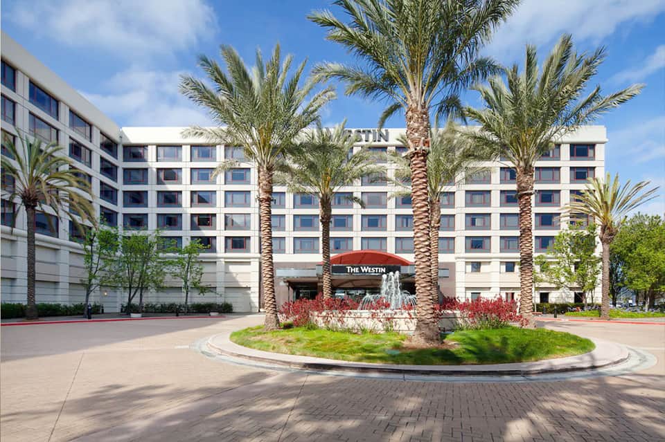 The Westin hotel exterior with palm trees, white building facade, and landscaped courtyard entrance