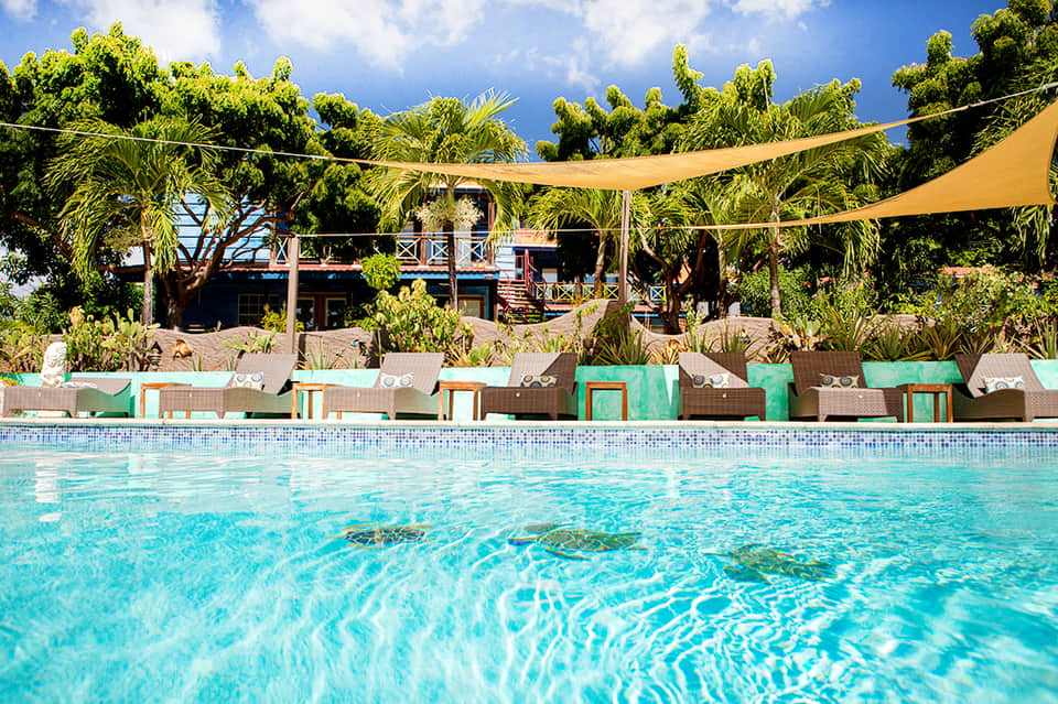 Resort pool with turquoise water, yellow shade sails, tropical landscaping, and beachfront cabanas