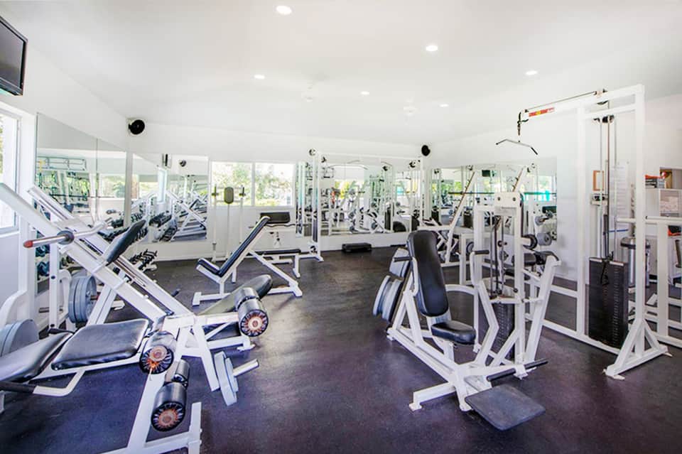 Bright fitness center with rows of exercise equipment and floor-to-ceiling windows