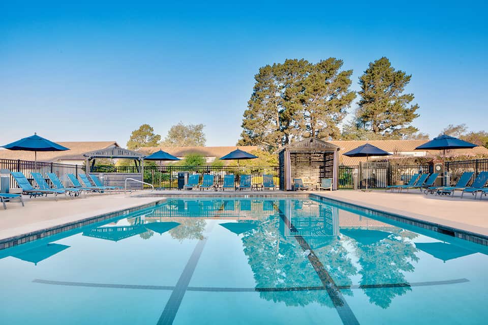 Resort swimming pool with lane dividers, blue umbrellas, lounge chairs, and tall pine trees reflected in clear water