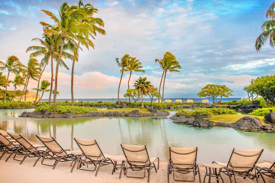 Tropical lagoon with palm trees, loungers, and ocean view with blue sky