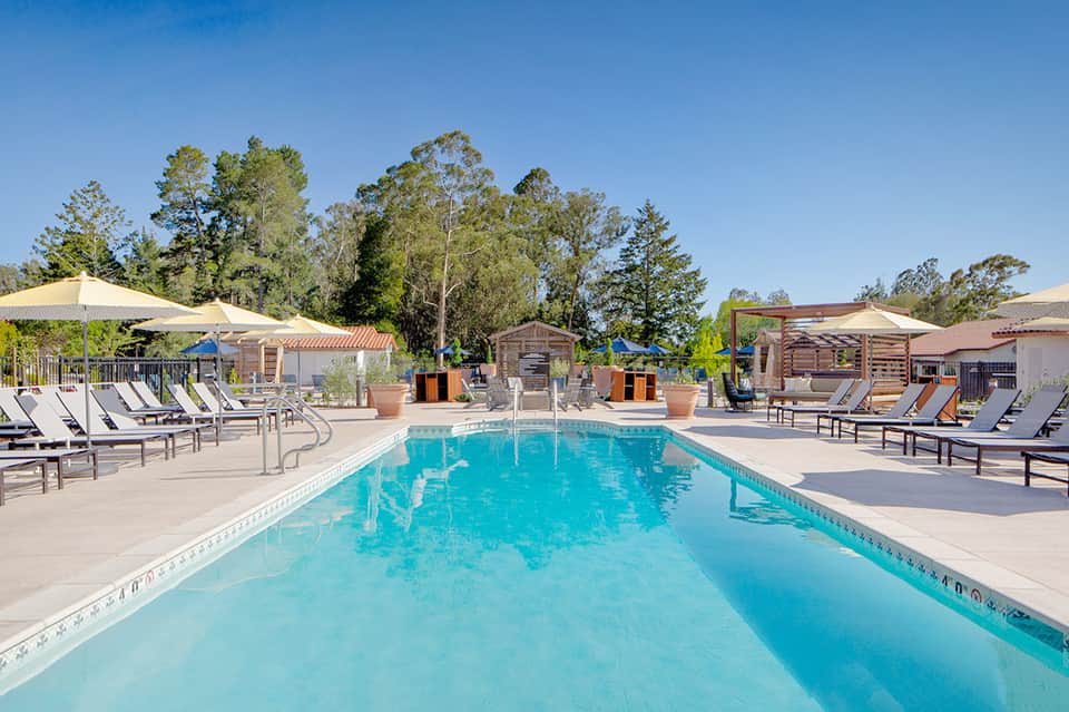 Resort swimming pool with loungers, umbrellas, and palm trees under clear blue sky