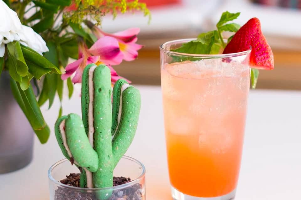 Tropical cocktail with watermelon garnish next to a potted cactus and colorful flowers
