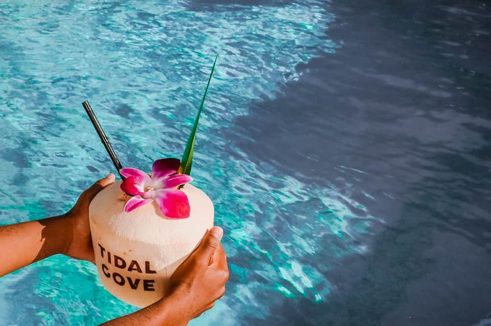 Hand holding coconut drink with 'Tidal Cove' text over turquoise pool water