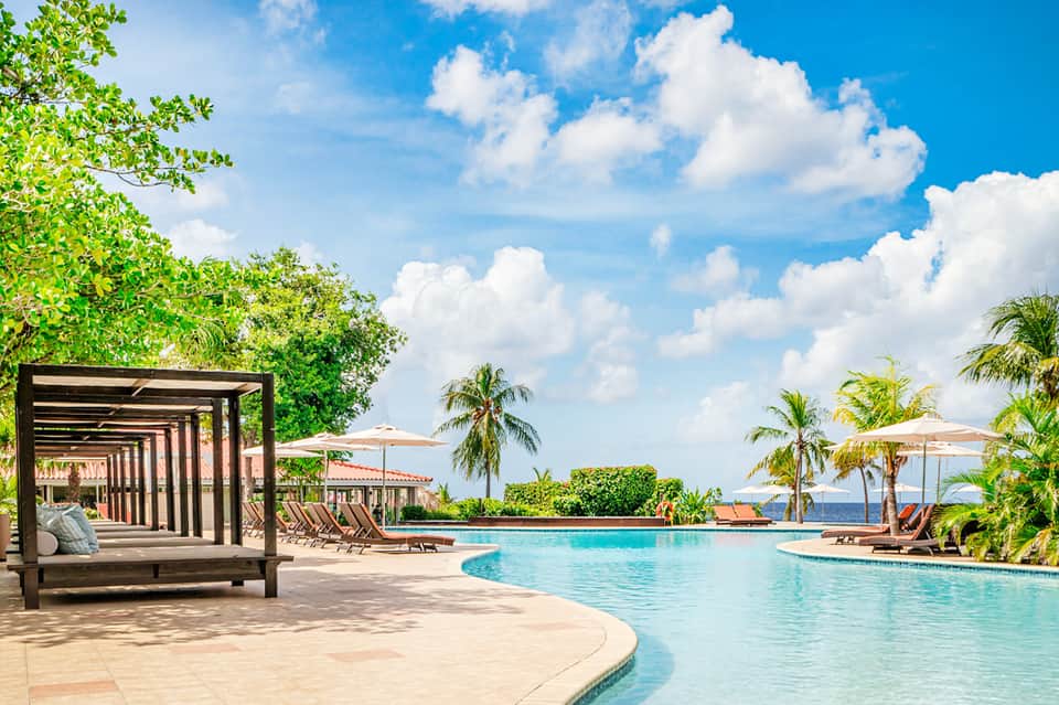 Resort pool surrounded by loungers, palm trees, and tropical landscaping