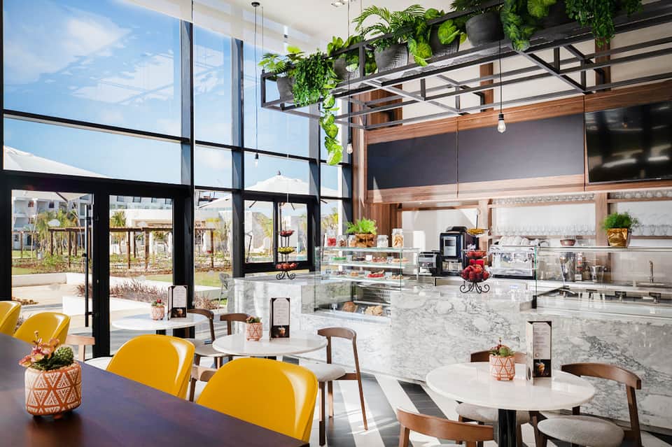 Modern cafe interior with floor-to-ceiling windows, hanging plants, and yellow chairs