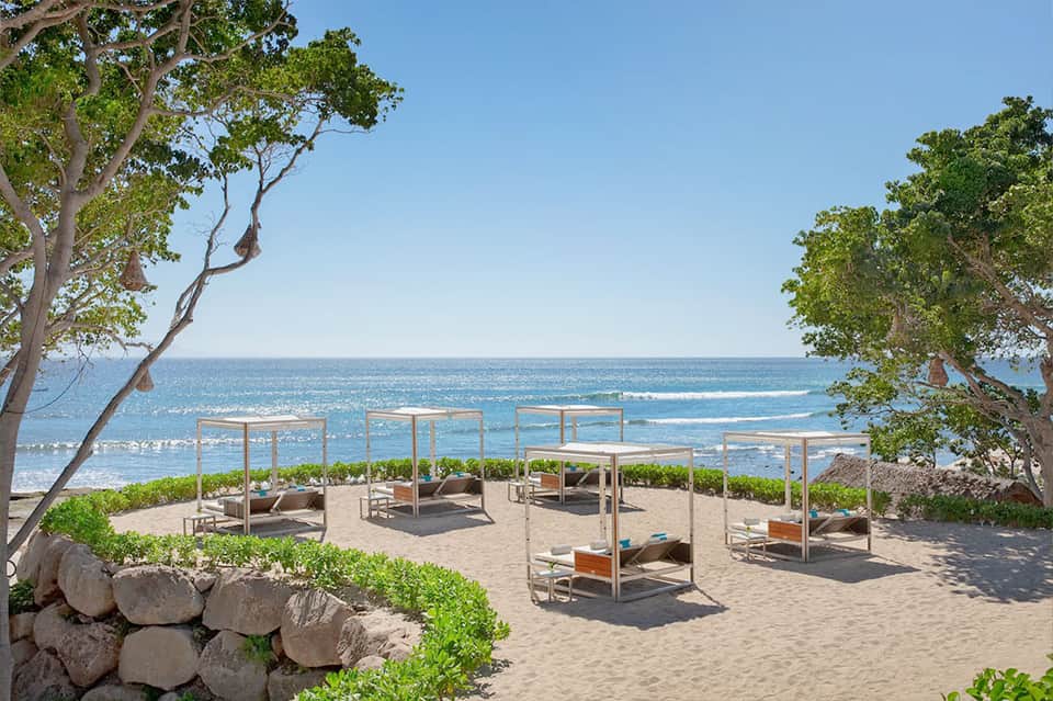 Beach cabanas with metal frames and sun loungers among trees overlooking ocean