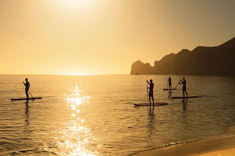 Paddleboarders silhouetted during golden hour on calm water near coastal cliffs