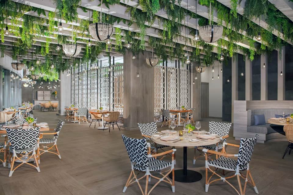 Modern restaurant interior with cascading green plants from ceiling and patterned seating
