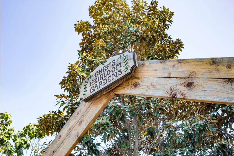 Wooden sign reading 'Chris's Favorite Spot Orchids & Gardens' beneath leafy tree canopy.