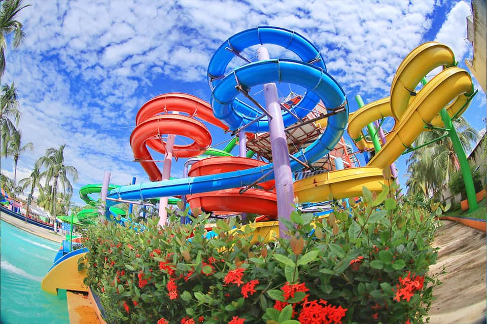 Colorful water park slides in red, blue, and yellow with tropical flowers and palm trees