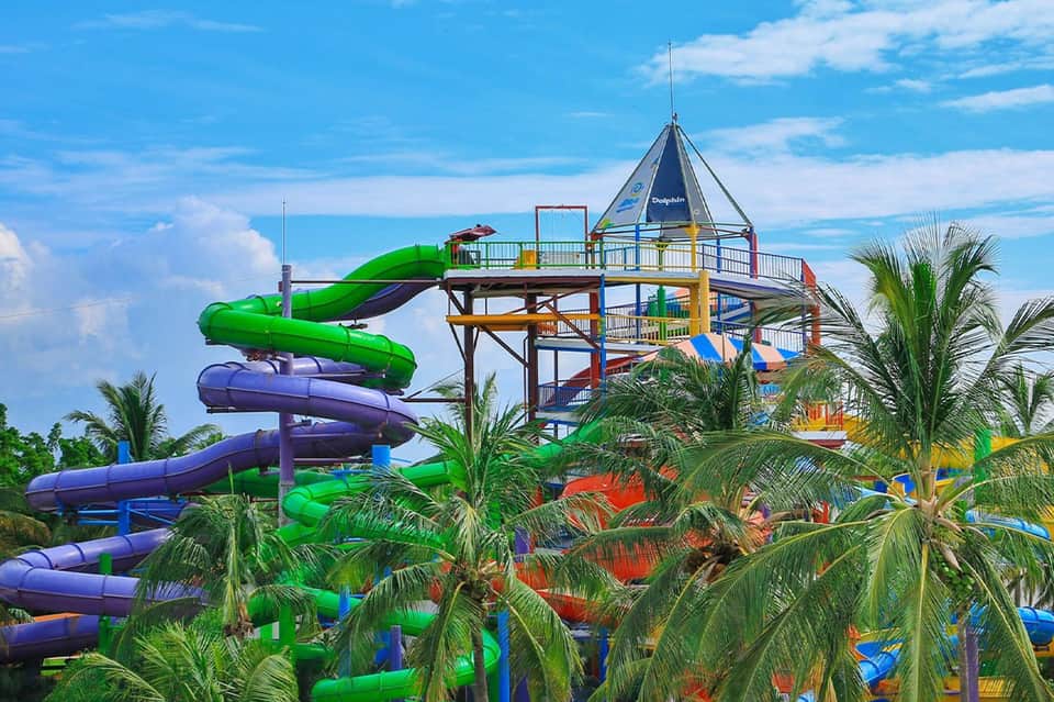 Colorful water park slide tower surrounded by palm trees against blue sky