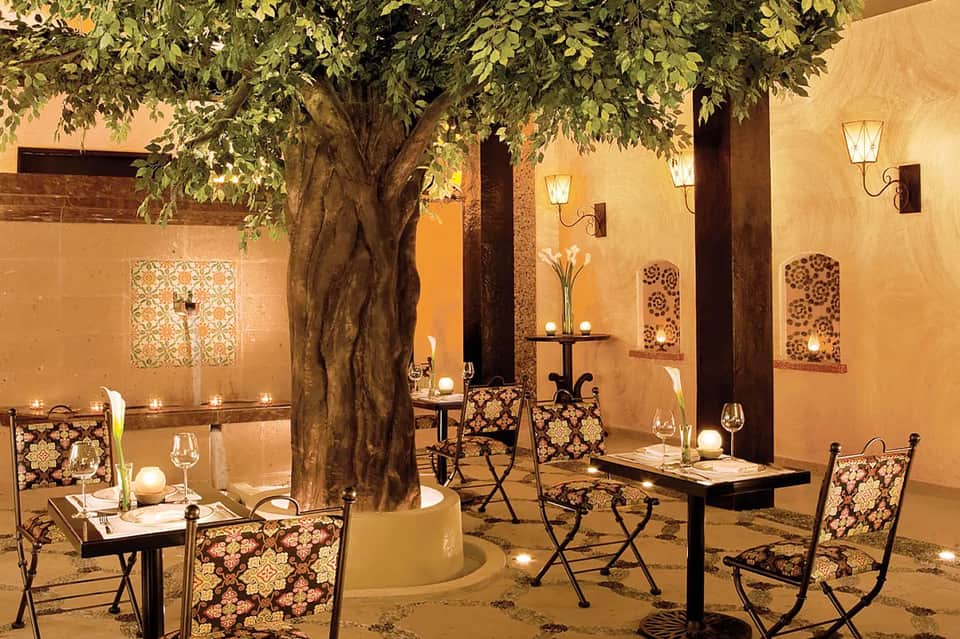 Outdoor courtyard dining area with large tree, decorative chairs, and warm ambient lighting