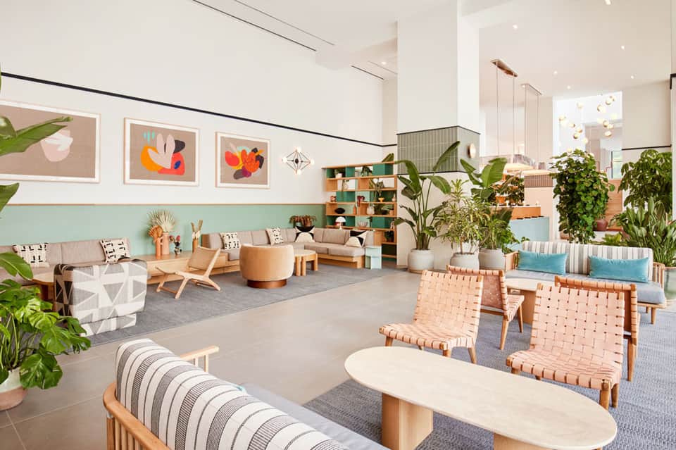 Bright modern lobby with natural wood furniture, plants, and colorful wall art