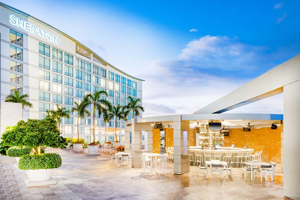 Sheraton hotel terrace with white lounge seating, gold accent wall, palm trees, and bright daylight