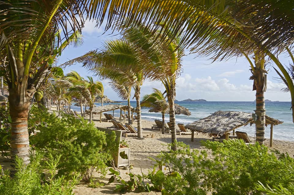 Beach lounge area shaded by palm trees with thatched-roof structures and ocean horizon in background