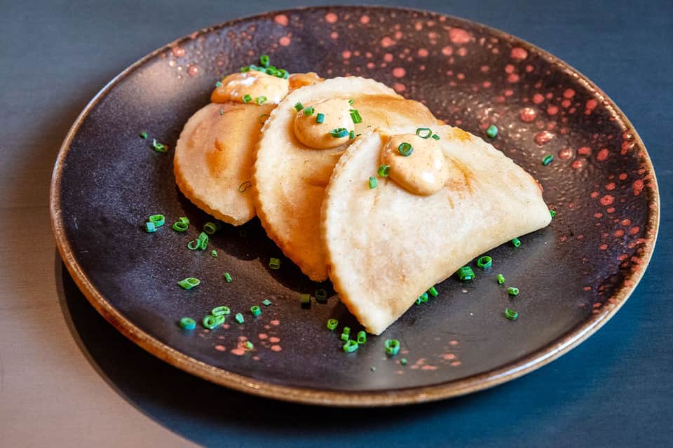 Elegantly plated dumplings with green onion garnish on dark speckled ceramic plate