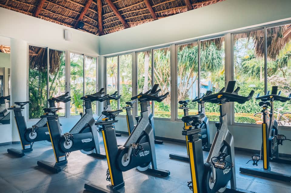Bright fitness room with stationary bikes lined along windows overlooking tropical vegetation