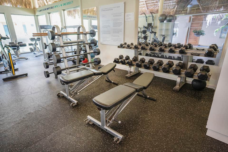 Well-equipped gym with dumbbells, barbells, benches, and cardio equipment