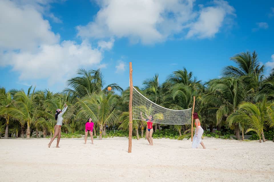 Group playing beach volleyball with palm trees and blue sky in background