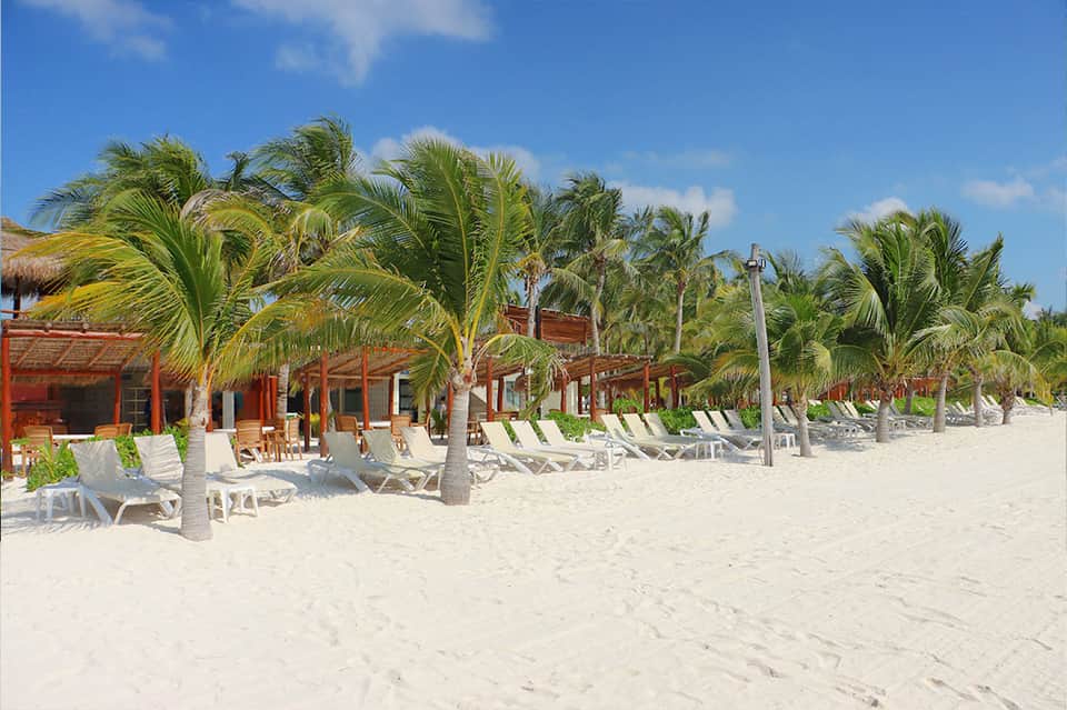 Tropical beach resort with white lounge chairs, palm trees, and beachfront buildings