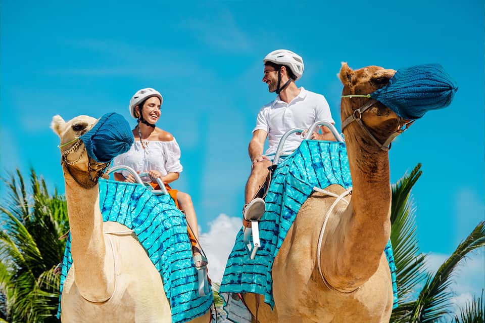 Couple riding camels on beach wearing white shirts and blue patterned wraps