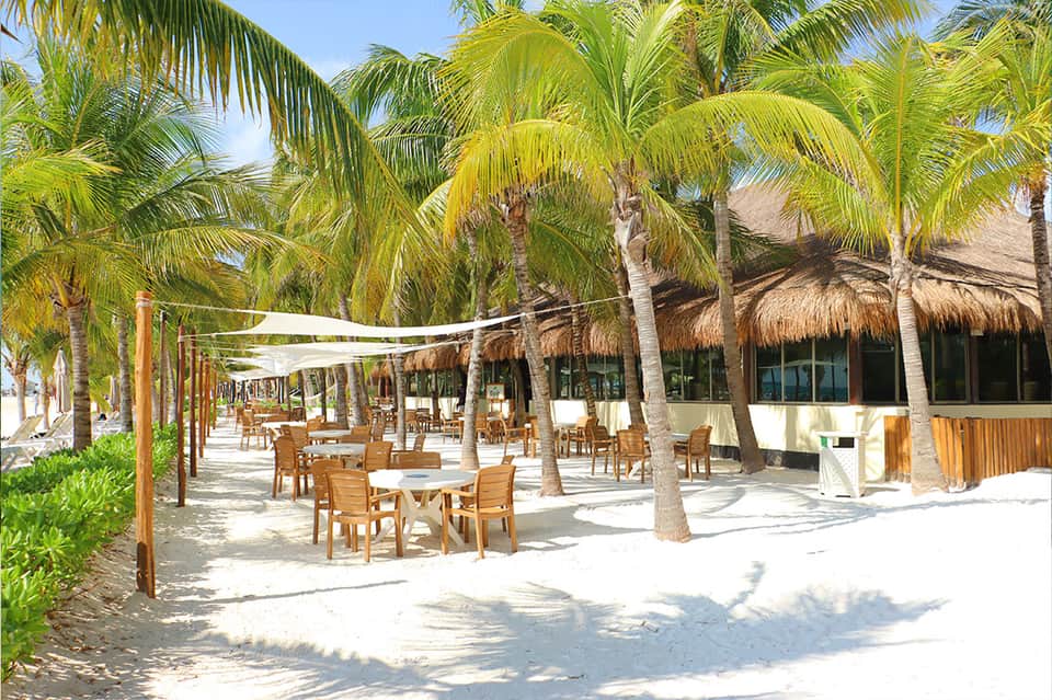 Beachfront restaurant terrace with wooden chairs, palm trees, and thatched-roof structures on white sand
