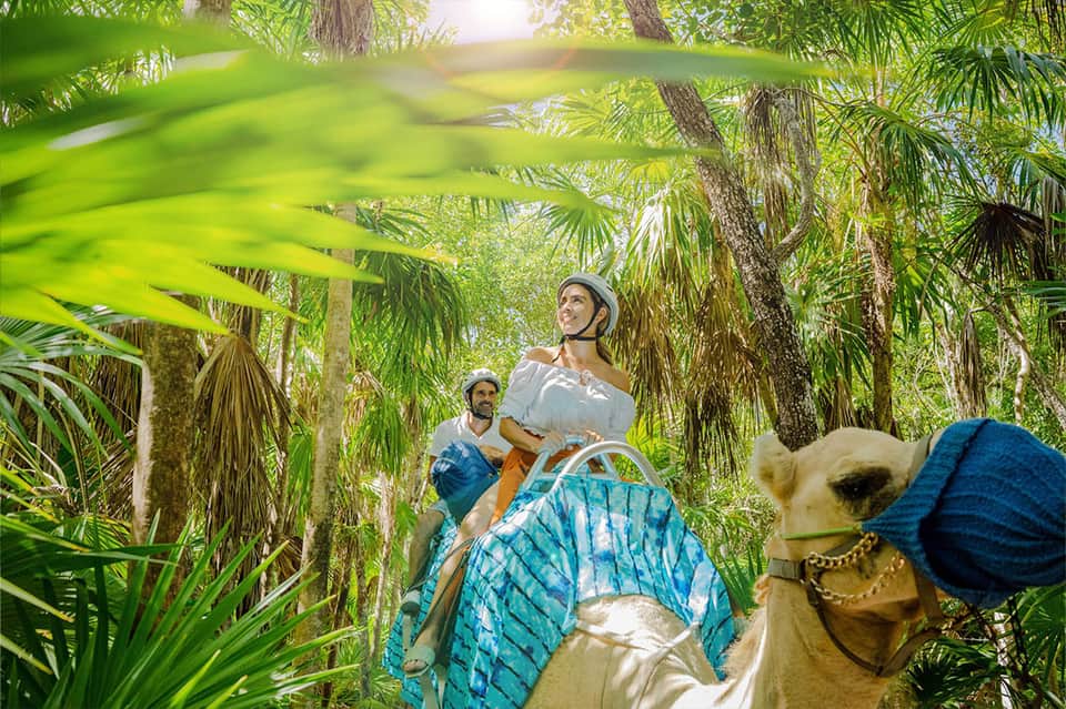 Camel ride through tropical palm forest canopy with two riders in traditional blue clothing