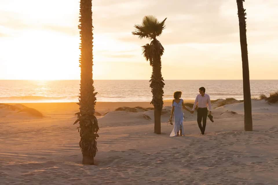 Couple walking barefoot on sunset beach between palm trees with ocean and sandy shore in background