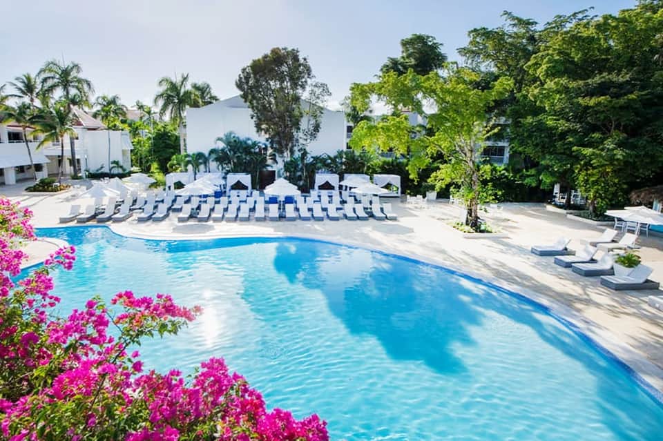 Large resort swimming pool surrounded by white loungers, umbrellas, and magenta bougainvillea flowers