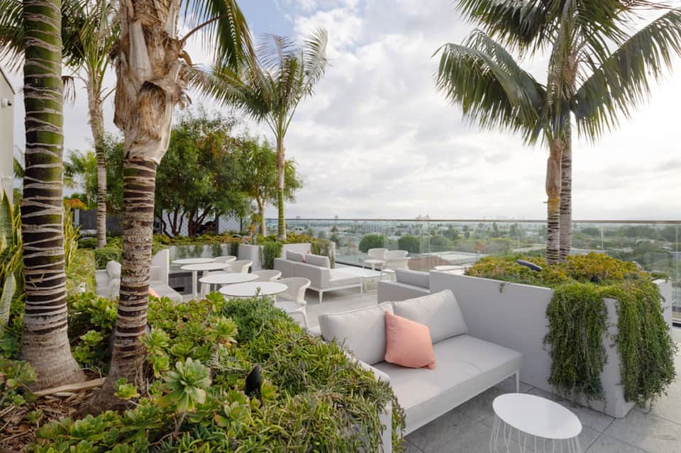 Rooftop lounge seating area with palm trees, ocean views, and contemporary outdoor furniture