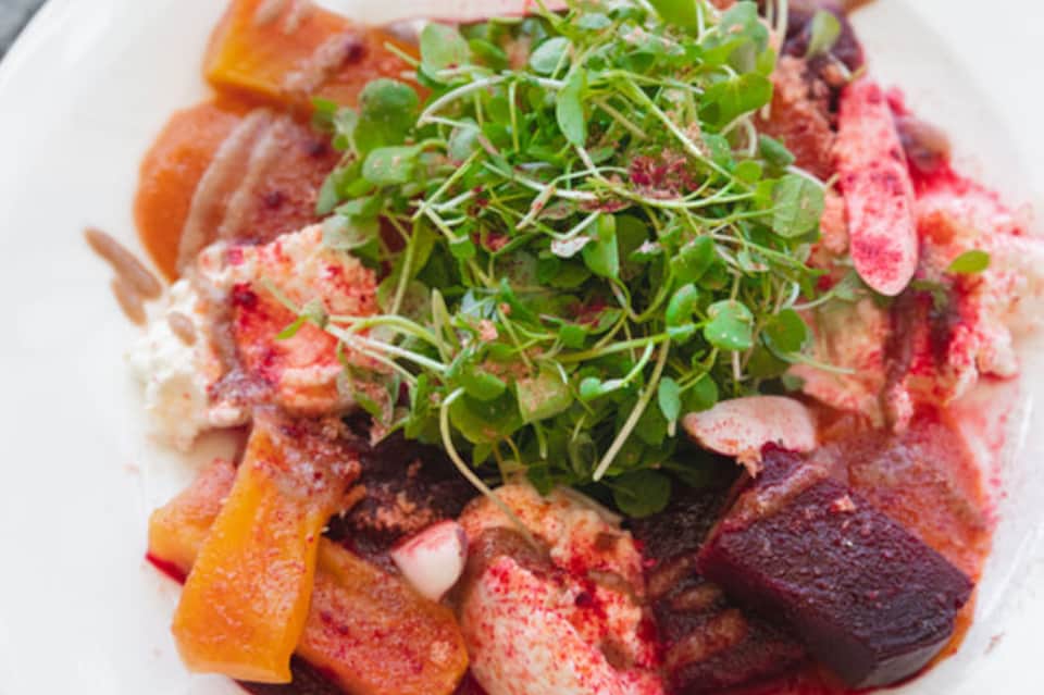Gourmet plated dish with microgreens, roasted vegetables, and herb garnish on white plate