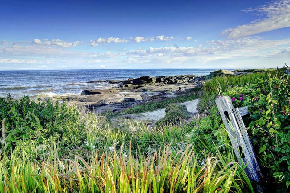 Scenic rocky beach coastline with native vegetation and calm blue ocean waters