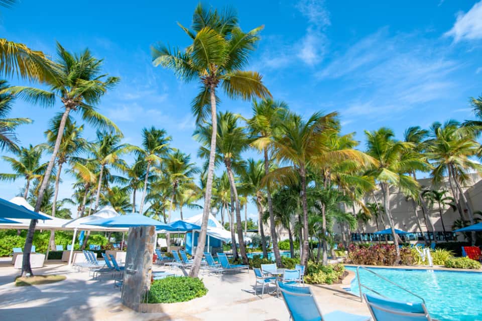 Beachside resort pool surrounded by palm trees, white umbrellas, lounge chairs, and beach access