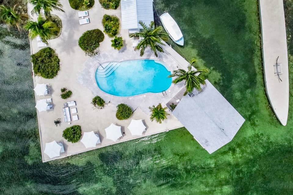 Aerial view of turquoise swimming pool surrounded by palm trees and white lounge chairs near waterfront