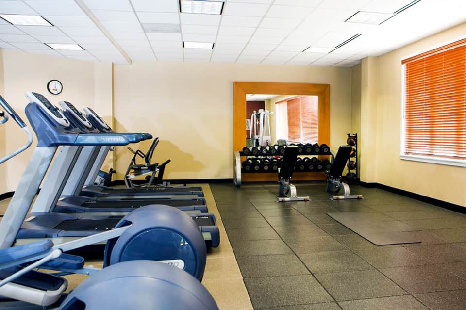 Bright fitness center with blue treadmills, exercise bikes, and free weights