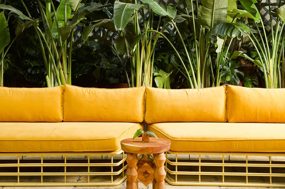 Yellow outdoor sofa with cushions against lush green tropical plants and foliage