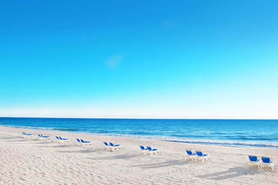 Rows of blue and white lounge chairs lined up on a sandy beach facing the ocean under clear blue sky