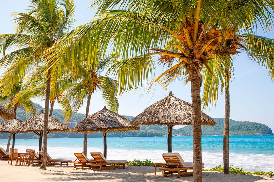 Pristine tropical beach with palm trees, thatched umbrellas, and turquoise water