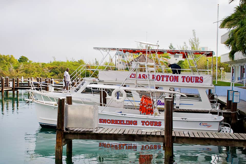 White and blue snorkeling tour boats docked at marina with mangrove trees and vegetation