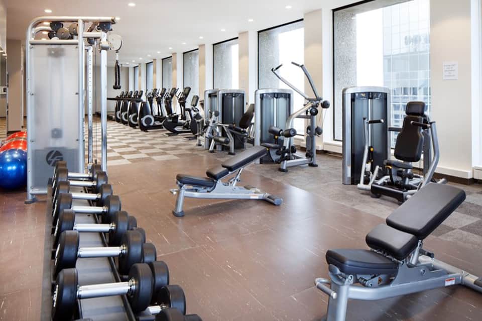 High-rise fitness center with rows of exercise bikes, dumbbells, machines, and city window views