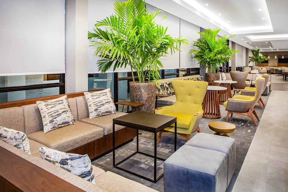 Contemporary hotel lobby lounge with yellow chairs, potted palms, and neutral décor