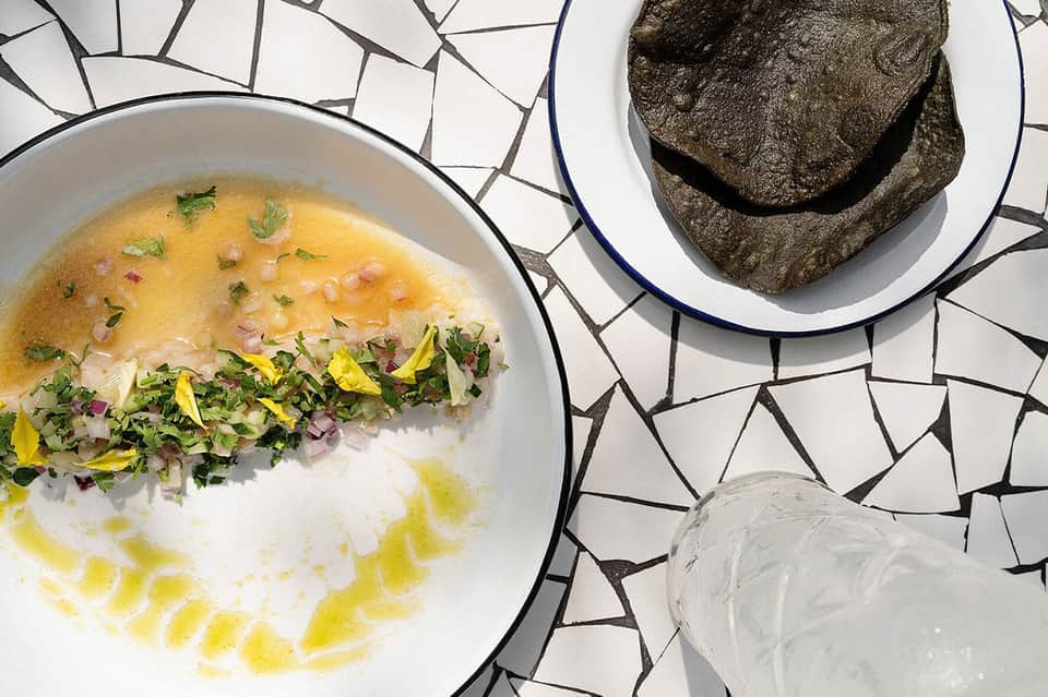 Artistic plated dish with golden sauce, microgreens, and charcoal accompaniment on patterned plate