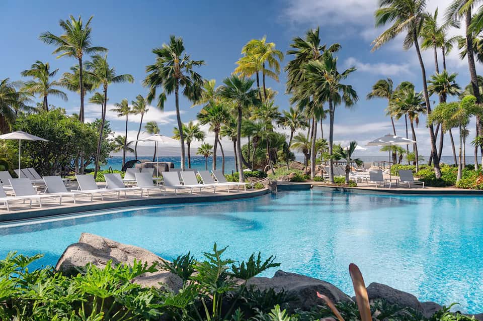 Oceanfront resort pool with crystal-clear turquoise water, palm trees, white lounge chairs, and ocean views