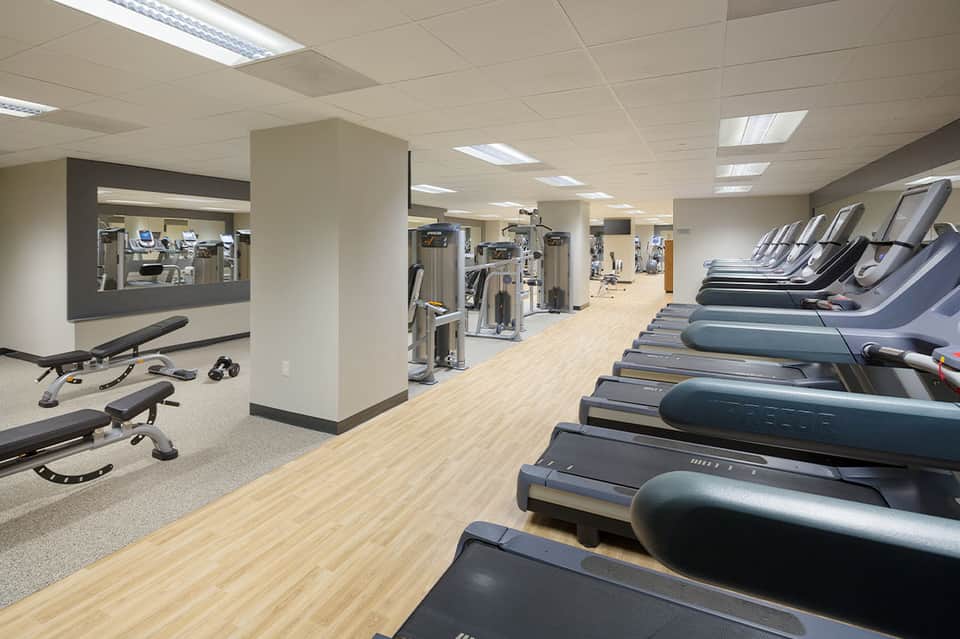 Spacious fitness center with rows of treadmills and exercise equipment