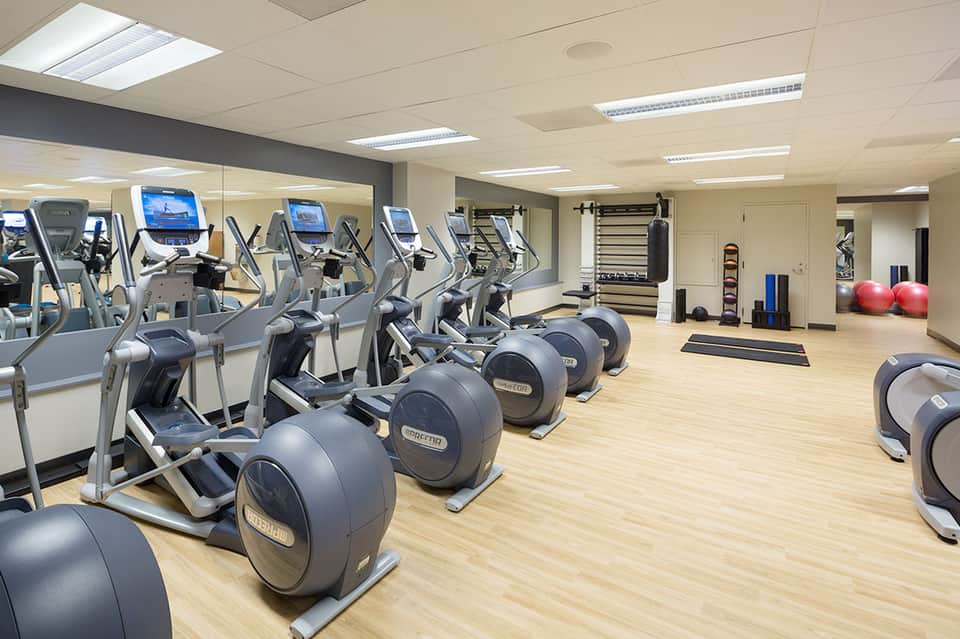 Modern fitness center with rows of cardio equipment and exercise machines