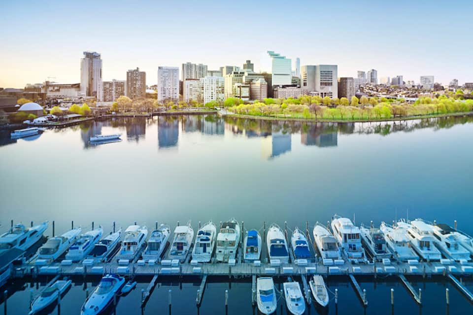 Waterfront cityscape with marina full of white boats and tall buildings reflected in calm water