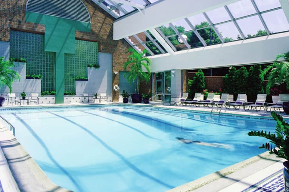 Indoor Olympic-length swimming pool with skylights, green walls, and lounge seating along sides