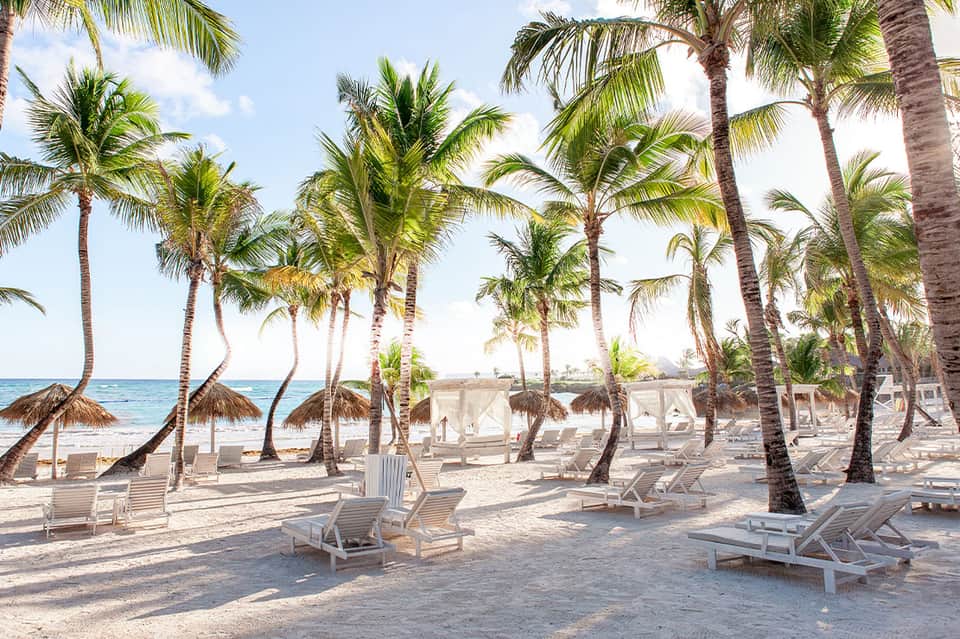 Beach lounge area with white chairs and thatched umbrellas beneath swaying palm trees and blue ocean horizon